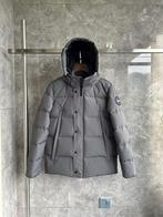 Canada Goose Wyndham Winterjas | Maat XS tot XXXL, Overige kleuren, Verzenden, Canada Goose, Nieuw