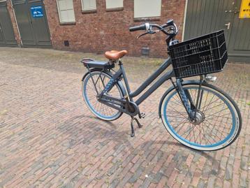 mooie goeie cortina crush  beschikbaar voor biedingen