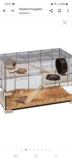 Hamsterkooi, Ophalen, Minder dan 75 cm, Kooi, Minder dan 60 cm