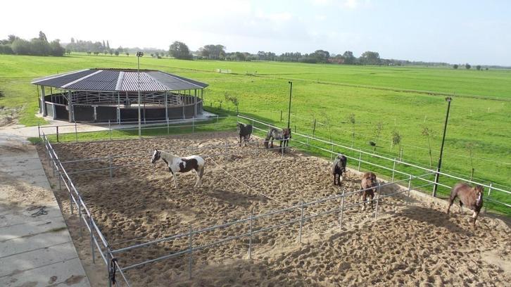 Pensionstal Langelaan, Dieren en Toebehoren, Stalling en Weidegang, Stalling, Weidegang