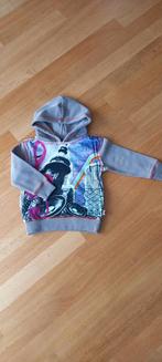 Hoodie sweater maat 86-92, Kinderen en Baby's, Truitje of Vestje, Nieuw, Ophalen of Verzenden, Jongetje