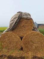 Gerste stro ronde balen, Dieren en Toebehoren, Dierenvoeding, Ophalen of Verzenden, Vee