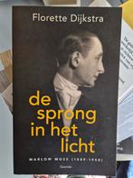De Sprong in het Licht - Florette Dijkstra, Ophalen of Verzenden, Gelezen, Florette Dijkstra, Kunst en Cultuur