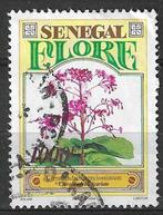 Senegal 1994 - Yvert 1121 - Clerodendrum speciosissimum (ST), Postzegels en Munten, Postzegels | Afrika, Ophalen, Overige landen