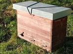 Gezocht Bijenkast topbar hive einraumbeute natuurbouwkast, Bijen