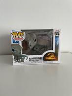 Jurassic world Velociraptor blue & beta Funko Pop, Nieuw, Ophalen of Verzenden