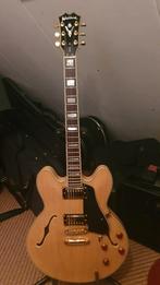 Washburn HB-35N, Muziek en Instrumenten, Snaarinstrumenten | Gitaren | Elektrisch, Ophalen, Zo goed als nieuw, Hollow body, Overige merken