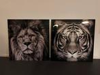 Tijger en leeuw op plexiglas 80 x 80 cm, Ophalen, Zo goed als nieuw, Schilderij, 75 tot 100 cm