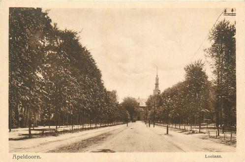 (701-366-041) Apeldoorn Loolaan, Verzamelen, Ansichtkaarten | Nederland, Gelderland, Ophalen of Verzenden