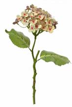 HORTENSIA KUNST TAK - CLAYRE & EEF, Ophalen of Verzenden, Nieuw