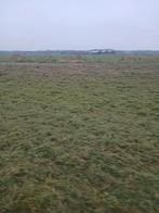 Grasbalen 2024, Dieren en Toebehoren, Stalling en Weidegang