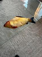 Katten speelgoed, Ophalen of Verzenden