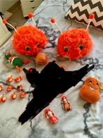 Diverse oranje artikelen, Ophalen of Verzenden, Gebruikt, Oranje of Koningsdag