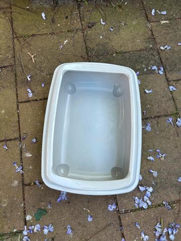 Kattenbak voor kittens beschikbaar voor biedingen