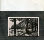 Ansicht Ommen - Natuurschoon, Verzamelen, Ansichtkaarten | Nederland, Verzenden, 1980 tot heden, Ongelopen, Overijssel