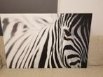 Zebra Print op Canvas, Huis en Inrichting, Woonaccessoires | Schilderijen, Tekeningen en Foto's, Ophalen, 50 tot 75 cm, 100 tot 125 cm