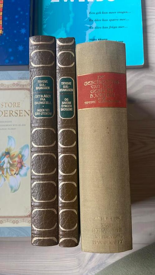 Taalboeken om Noors te leren, Boeken, Hobby en Vrije tijd, Ophalen of Verzenden