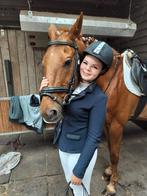 Gezocht verzorg paardje (pony of paard) epe/heerde, Dieren en Toebehoren, Ophalen of Verzenden, Zo goed als nieuw