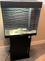 Juwel Lido 120 liter met onderkast, Ophalen of Verzenden, Zo goed als nieuw, Leeg aquarium
