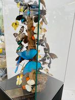 Vlinderstolp met echte vlinders - 180cm, Ophalen of Verzenden