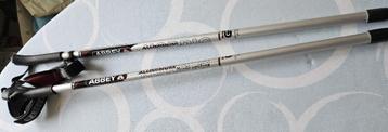 Nordic Walking Sticks beschikbaar voor biedingen