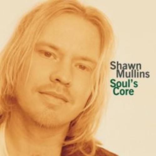 Shawn Mullins, Cd's en Dvd's, Cd's | Rock, Gebruikt, Poprock, Verzenden