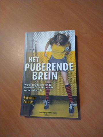 Crone, Eveline. Het puberende brein beschikbaar voor biedingen