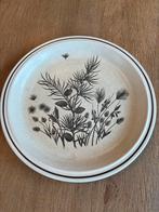 Pinewood Bord 26 cm, Gebruikt, Ophalen of Verzenden, Bord(en), Overige stijlen