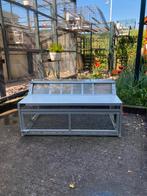 4 spoetniks te koop !! Duiven / postduiven / spoetnik, Dieren en Toebehoren, Meerdere dieren, Postduif