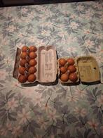 Verse kippen eieren, Diversen, Levensmiddelen, Ophalen