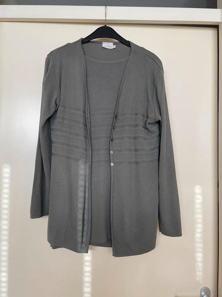 Twinset Xandres maat XL 42, Kleding | Dames, Truien en Vesten, Zo goed als nieuw, Maat 42/44 (L), Grijs, Ophalen of Verzenden