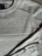 Bertoni trui maat L, Maat 52/54 (L), Ophalen of Verzenden, Grijs, Gedragen