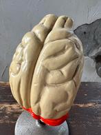 Oud zeldzaam model Phywe gips hersens hond, Antiek en Kunst, Curiosa en Brocante, Ophalen of Verzenden