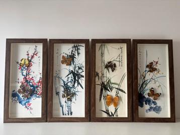 4 Lijsten met vlinders beschikbaar voor biedingen