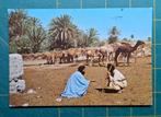 Marokko - Toeareg en kamelen - 1983, Verzamelen, Ansichtkaarten | Buitenland, Ophalen of Verzenden, 1980 tot heden, Gelopen, Buiten Europa