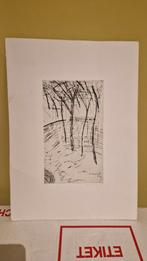 Een werk van Jaco van Dongen, Antiek en Kunst, Kunst | Litho's en Zeefdrukken, Ophalen of Verzenden