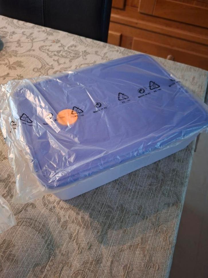 Tupperware "Date Fresh" Groot langwerpig, Huis en Inrichting, Keuken | Tupperware, Nieuw, Overige typen, Ophalen of Verzenden