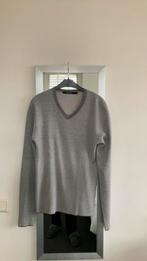 Tiger trui, Ophalen of Verzenden, Zo goed als nieuw, Maat 46 (S) of kleiner, Grijs
