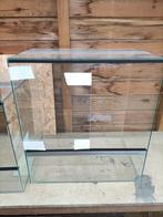 Nieuw terrarium in de maat 60/40/60, Ophalen of Verzenden, Nieuw, Terrarium of Paludarium