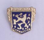 Zilveren (?) geëmailleerde draagspeld GYMNASTIEK K.N.G.V., Verzamelen, Speldjes, Pins en Buttons, Ophalen of Verzenden, Gebruikt