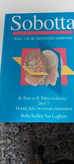 Sobotta - 1 hoofd hals bovenste extremiteit, Boeken, Ophalen of Verzenden, Zo goed als nieuw, Sobotta
