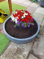 Plantenbak tuinbak betonlook, Ophalen, Zo goed als nieuw, Minder dan 60 cm
