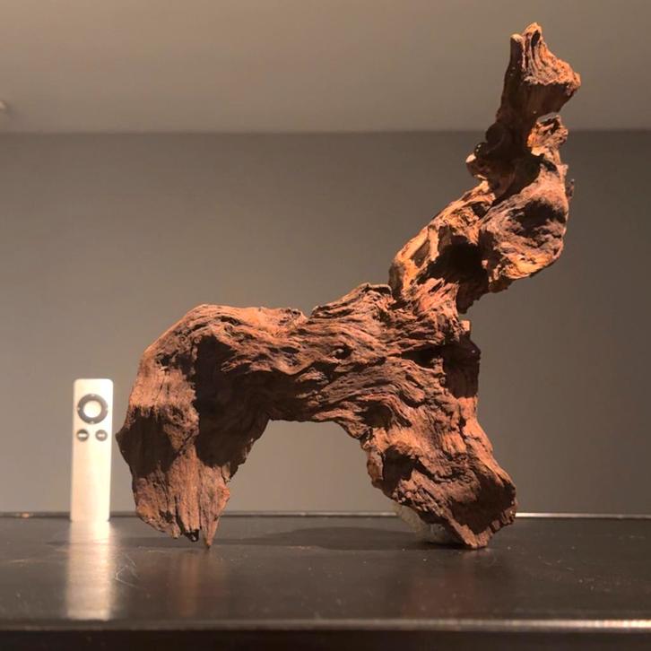 Uniek stuk Kienhout / Driftwood / Spiderwood, Hout Decoratie, Dieren en Toebehoren, Vissen | Aquaria en Toebehoren, Plant(en), Steen of Hout
