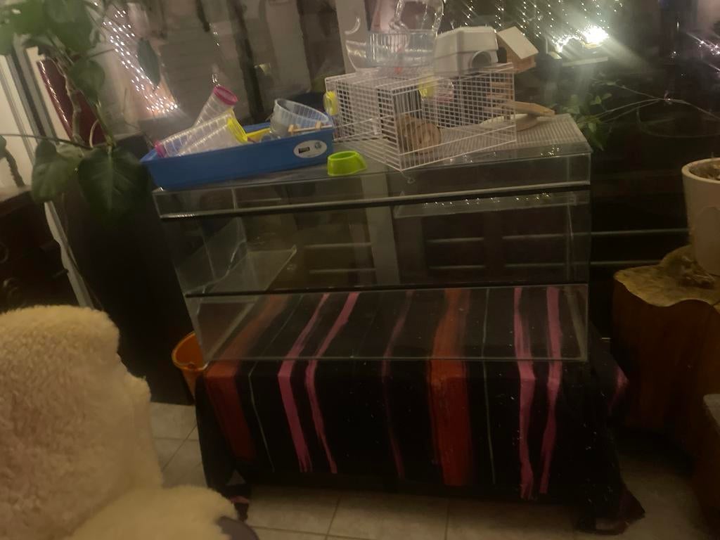 Terarium voor hamster of slangen of andere kleine huis diere, Dieren en Toebehoren, Knaagdieren en Konijnen | Hokken en Kooien