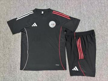 ajax training shirt 25/26 beschikbaar voor biedingen