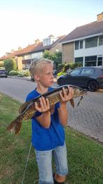 Viss spullen gozocht, Watersport en Boten, Ophalen, Zo goed als nieuw, Overige typen
