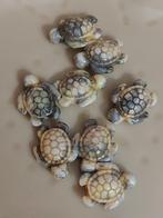Geel/groen gemêleerde schildpad glaskralen, Hobby en Vrije tijd, Kralen en Sieraden maken, Verzenden, Nieuw, Tussenstuk of Tussenkraal