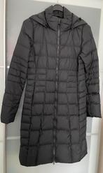 Metropolis Donsjas met Capuchon, Zwart, Ophalen of Verzenden, Zo goed als nieuw, The North Face