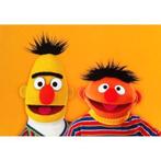 Sesamstraat - bert & ernie kaart bij Stichting Superwens!, Ophalen of Verzenden, Nieuw