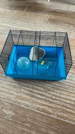 Hamster- of muizenkooi blauw, Dieren en Toebehoren, Kooi, Gebruikt, Minder dan 75 cm, Hamster